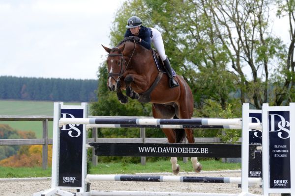 Calcifer de la Hart Z - 4