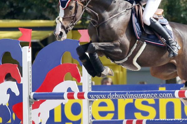 Come Back Mury Marais Z