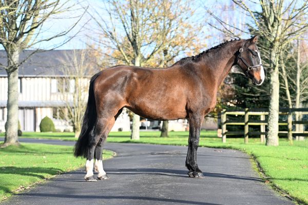 Faith della Mantova - 3