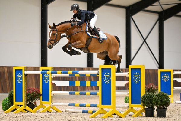 Nic Nac van Spalbeek Z - 1