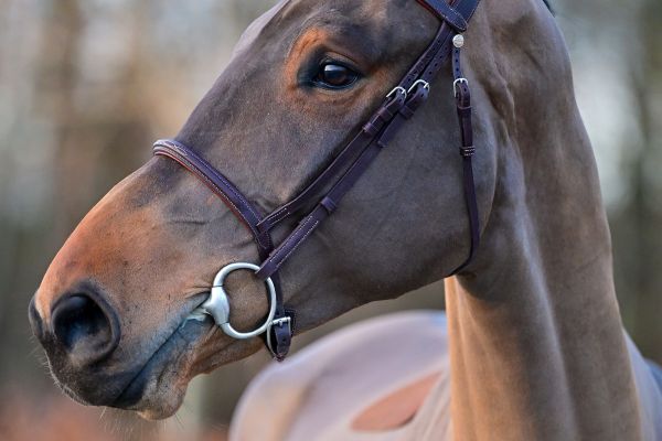 Viktor ter Elzen - 1