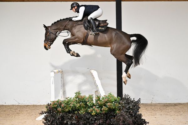 Promesse de Cantraine - 2