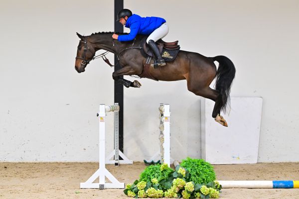 Osiris du Grand Routheux Z under the saddle