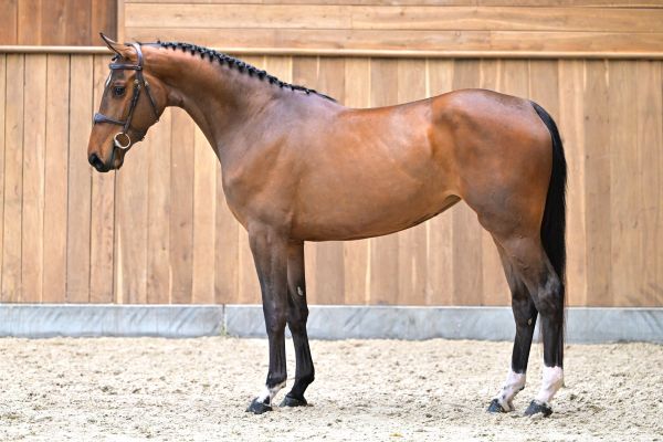 Dolor&egrave;s de Vill&eacute;e Z 3