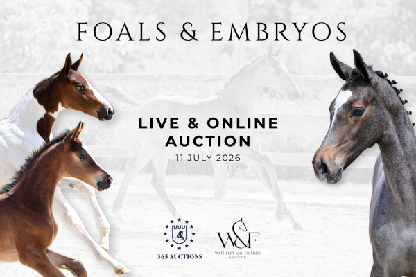 LIVE & ONLINE AUCTION
