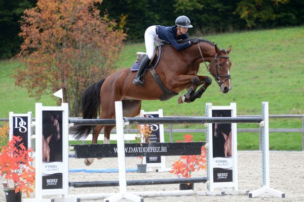 Calcifer de la Hart Z - 3