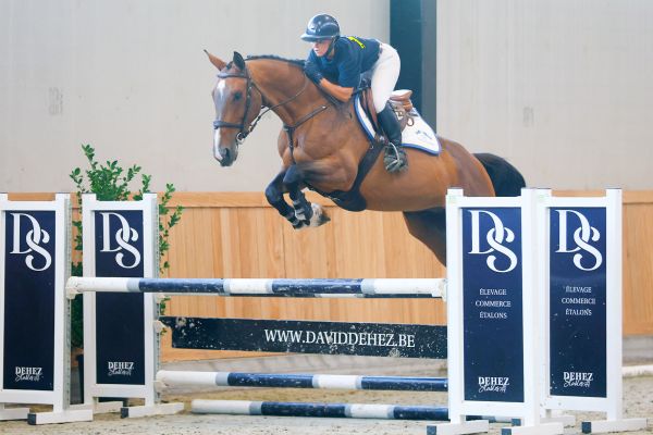 Pop Star HM du Menil - 2