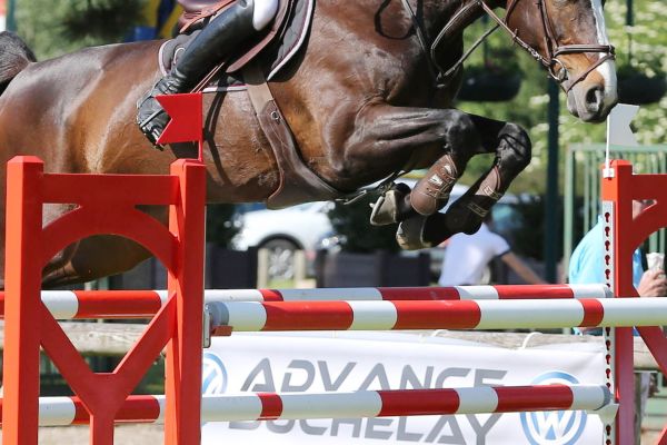 Wonder Lady - Full sister Just a Lady