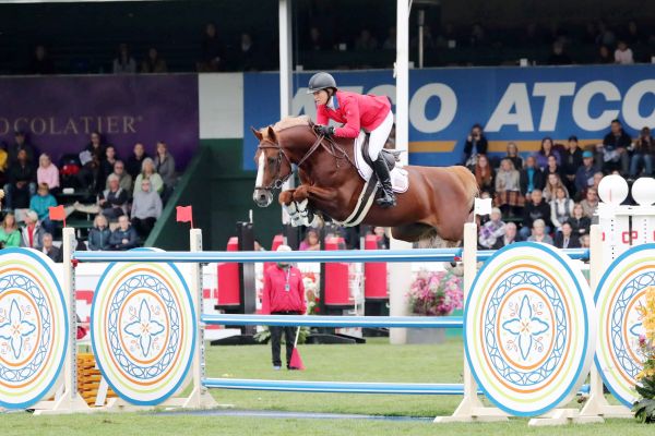 Darry Lou - Beezie Madden