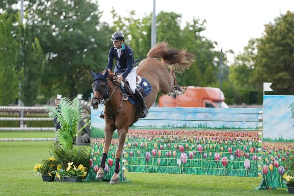 Brooklyn Heights - Denis Lynch