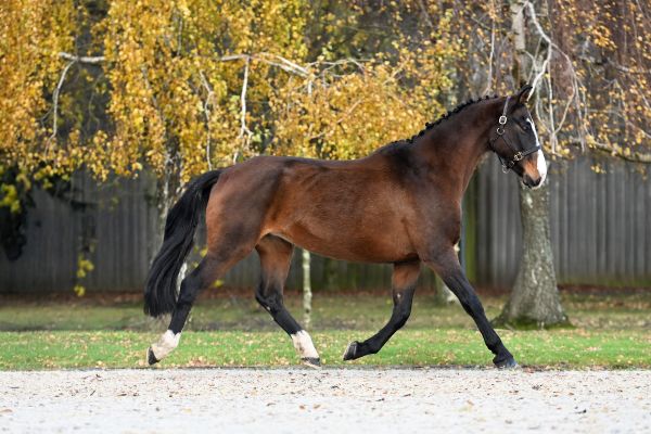 Faith della Mantova - 2