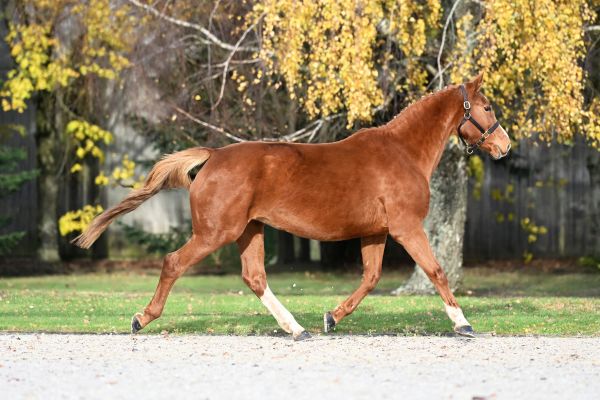 Baronette O'Planck - 1