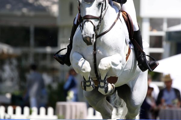 Geisha van Orshof - Wesley Newlands