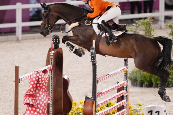 Willem Greve - Zypria S NOP