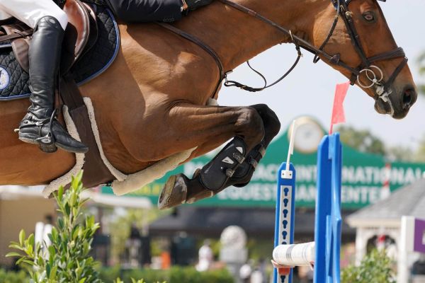 Teddy Vlock - Ricore Courcelle