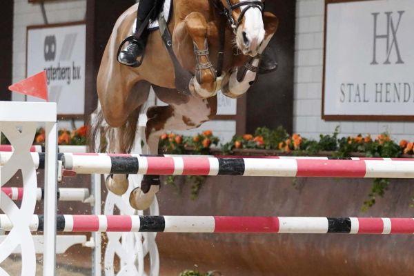 Notre Dame van 't Roosakker - 2