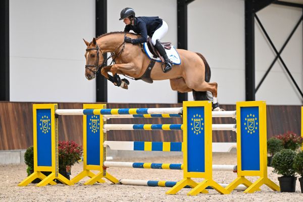 I'm Cool Blue PS - 2