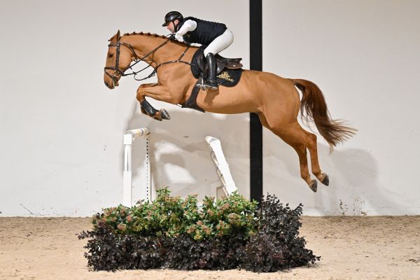 Uzi van de Gaathoeve - 3