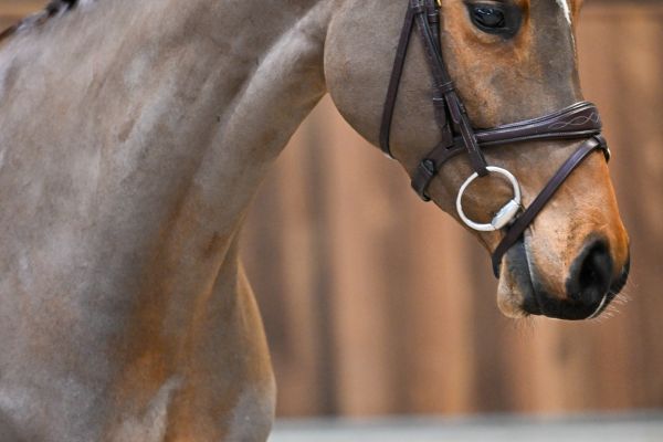 Classic Girl in de bus z 1