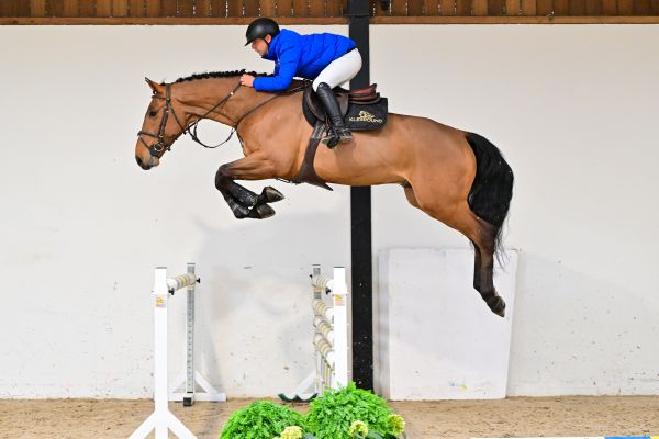 L'amour du Ciel under the saddle