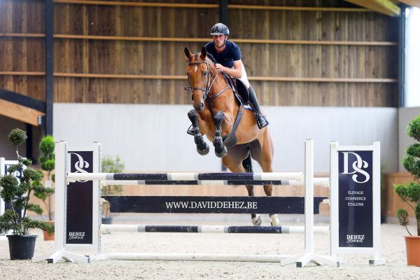 Chacellana Blue PS - 4