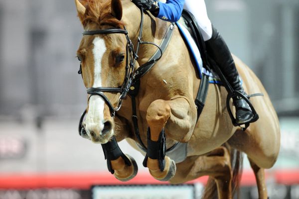 Carry Z - Judy Ann Melchior