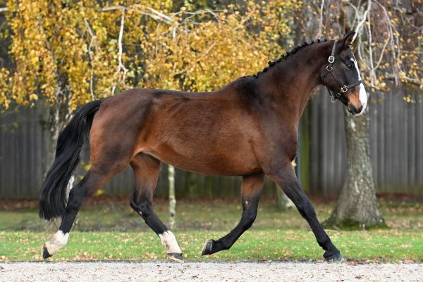 Faith della Mantova - 4