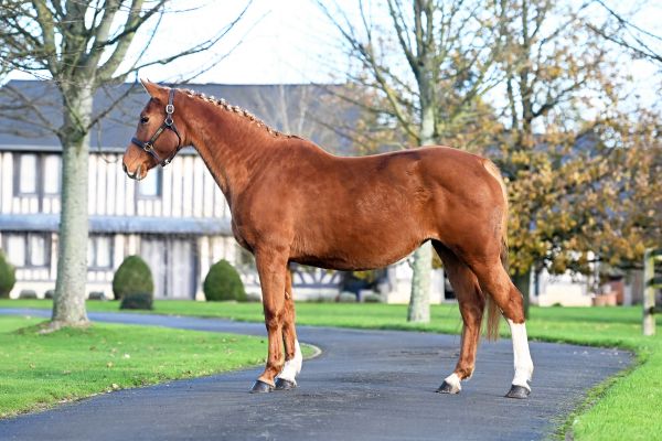 Baronette O'Planck - 2