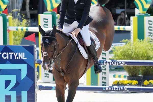 Willem Greve - Grandorado TN