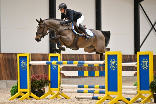 Sunshine van Spalbeek Z - 1