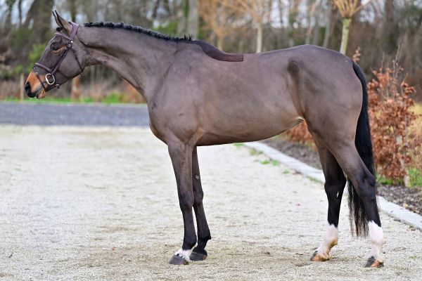 Promesse de Cantraine