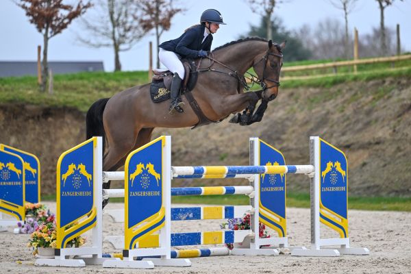 Deauville du Maillet Z 2