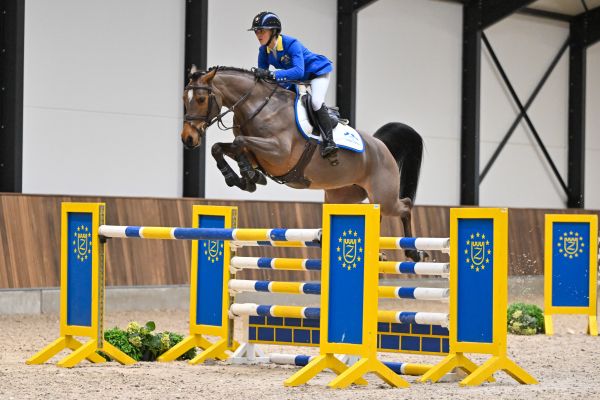 Classic Girl in de bus z 2