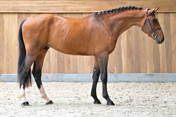 ROTHSCHILD DU FOURCROIX 3