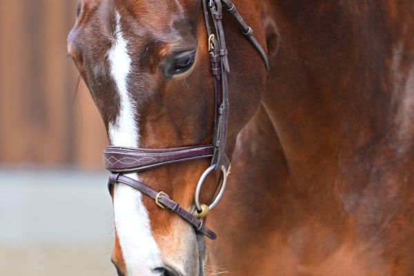 Violetta van 't Hoogeinde 1