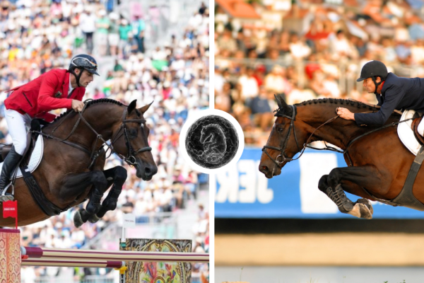 United Touch S x Quindy de Kreisker 2