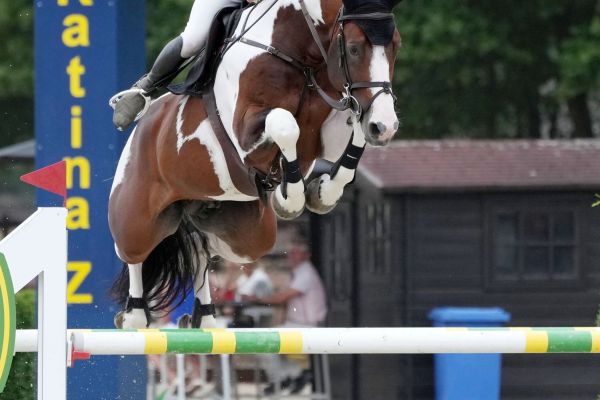 Dancing Heros de Rock 1 Z - 2