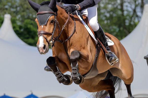 Jicarla OL - Trevor Breen