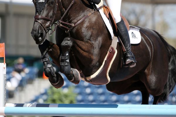 Caipiranja - Tiffany Foster - 2