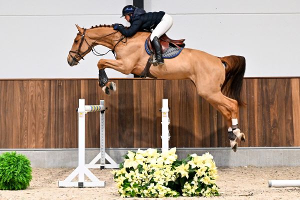 Vedet van de Bergdalhoeve - 3