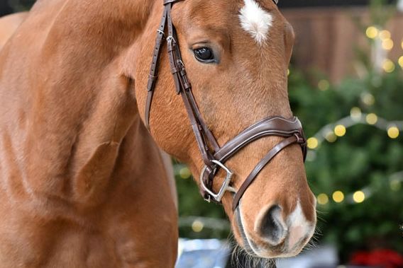 Viktor van 't Heike - 3