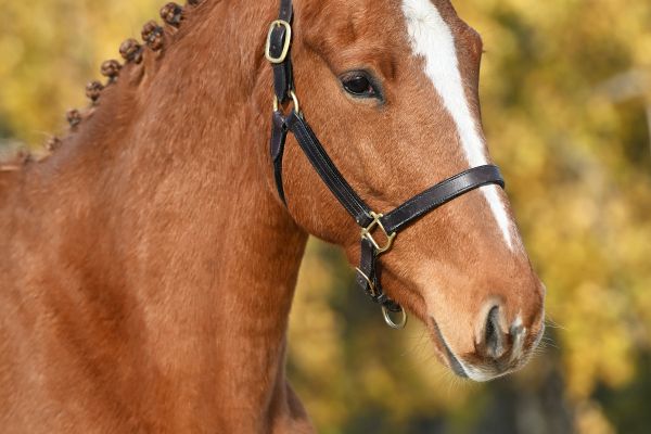 Lola de Beaufour - 2