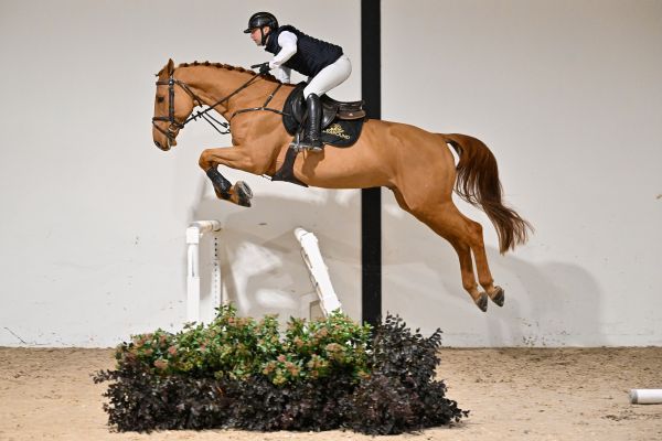 Uzi van de Gaathoeve - 2