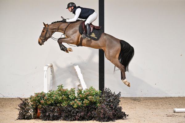 Little de Courcel - 2