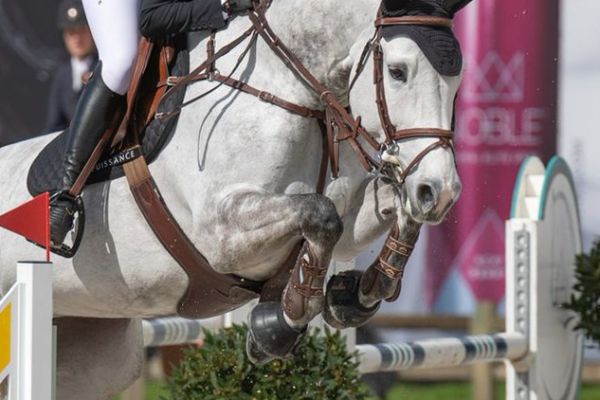 Coup de Coeur KVG Z - 1