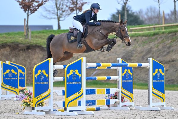 Baila d Elsendam Z 2