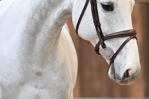 Gora des Cha&icirc;nes  1