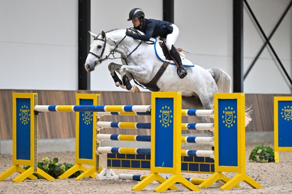 Easter Van Twelve Oaks Z 2