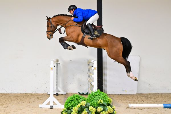 Truly Unique Z under the saddle