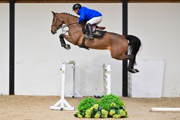 Chargarina PS under the saddle